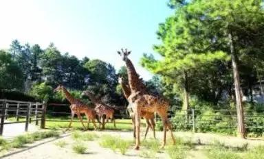 领上孩子父母一起去玩呀!长沙又一波特惠票来了!很值得一去哦