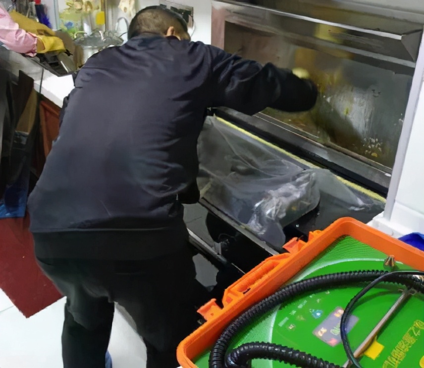 绿之源效果怎么样,绿之源好不好