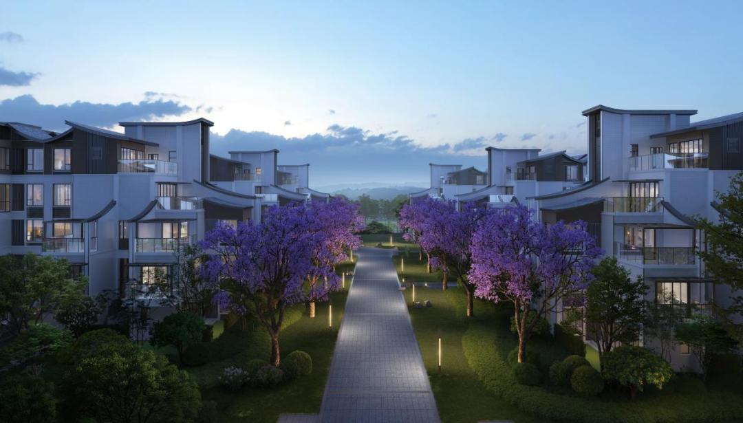 城市观察合肥,城市观察城市生活