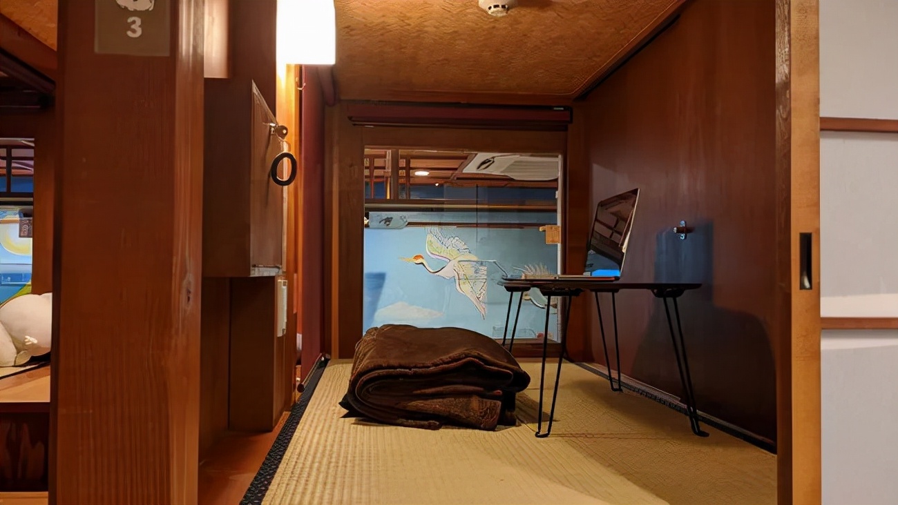 猫咖是不是会收留真猫咪打工,猫咪去猫咖打工是真的吗