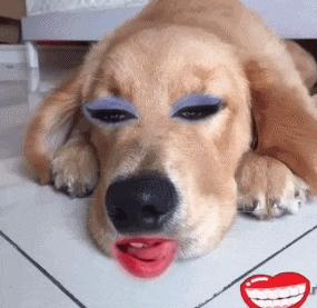 用了这么多韩妆后的感受,那些年用过的鸡肋韩妆你中枪了吗