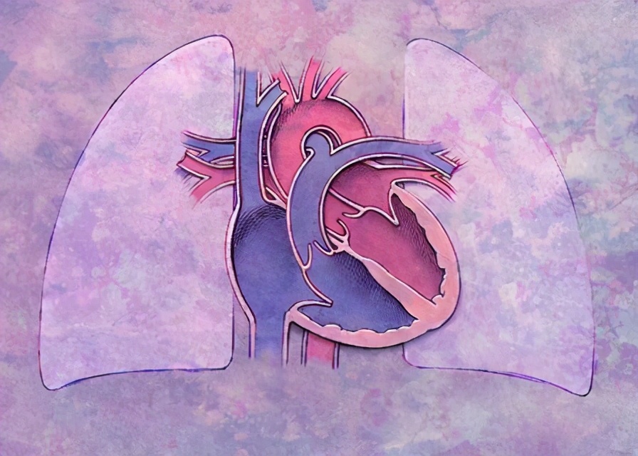 支气管哮喘误诊率高吗,容易被误诊哮喘的疾病