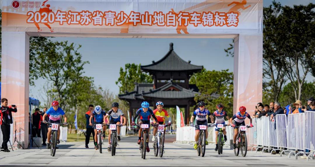 国家网信办处置违法账号,国家网信办回应网络乱象