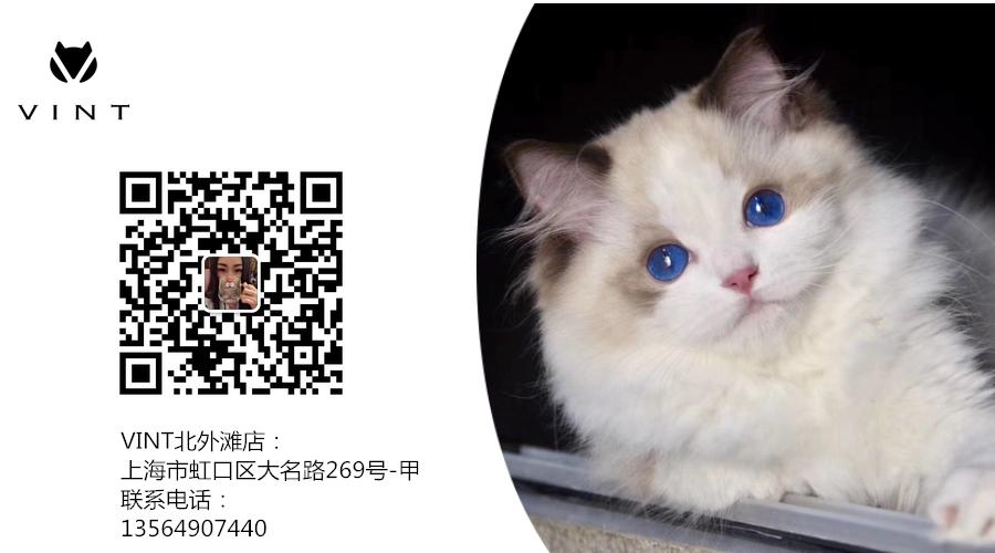 多久给猫咪洗一次澡猫咪洗澡攻略,猫咪一年洗两次澡