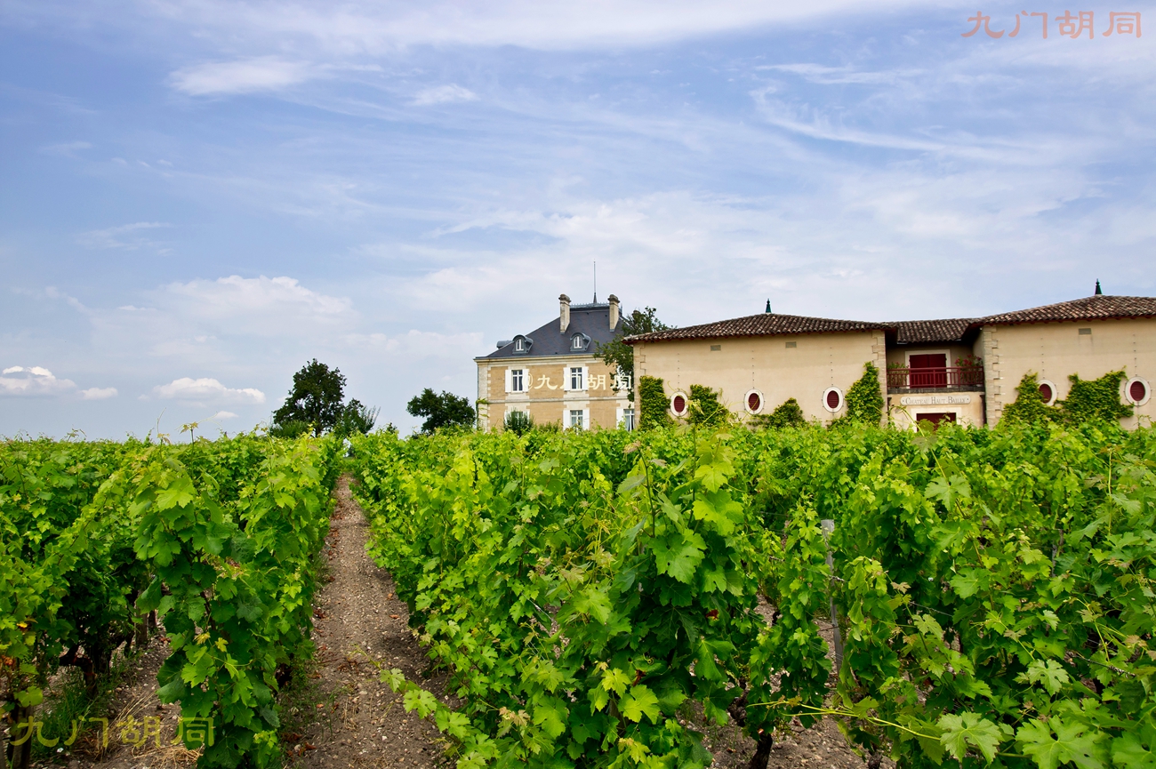 法国旅游葡萄酒庄,法国波尔多酒庄旅游攻略