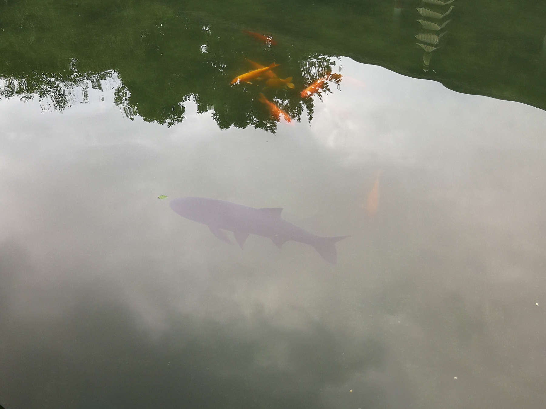 青芝坞民宿离西湖有多远,杭州青芝坞民宿排名榜