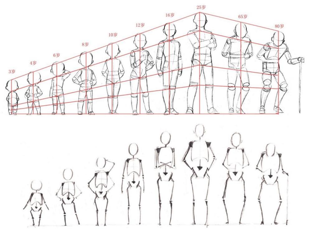 人体板绘入门基础知识,新手板绘自学入门教程