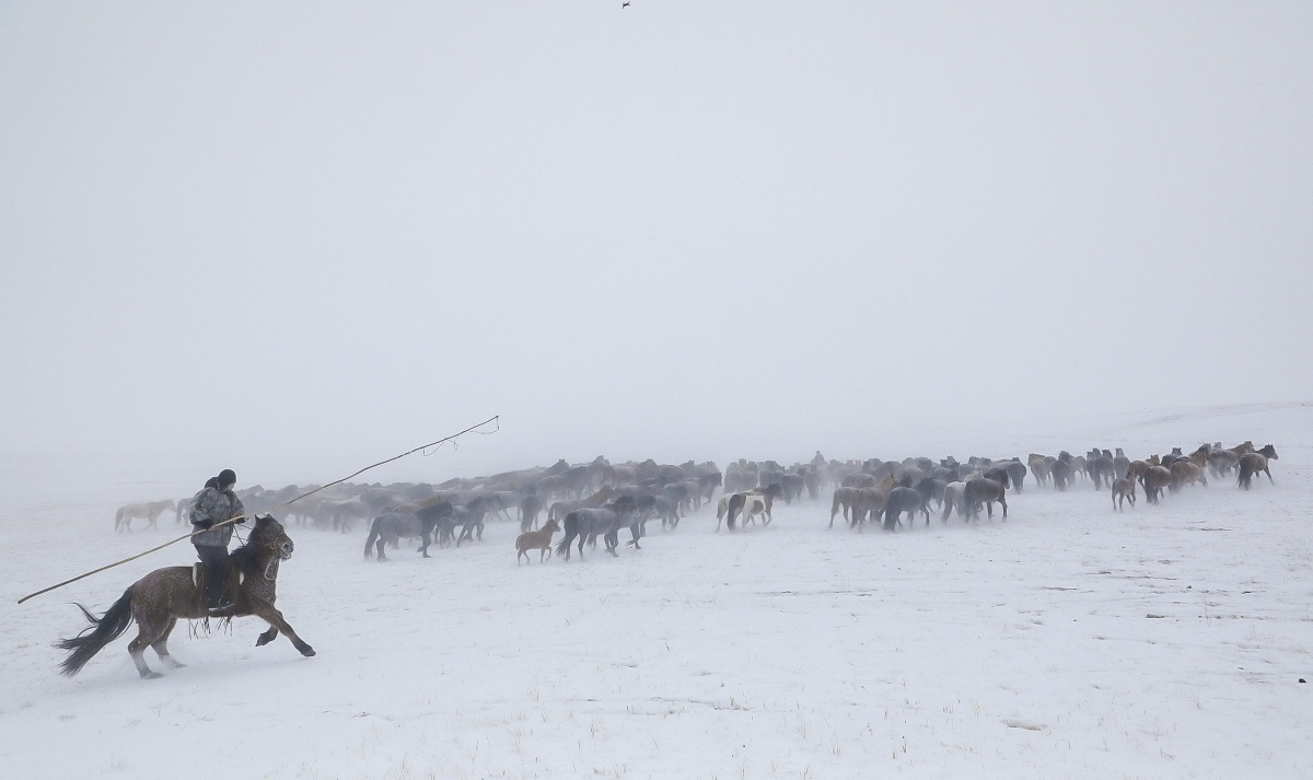现在的马自达也会叫马自达,长安马自达与马自达