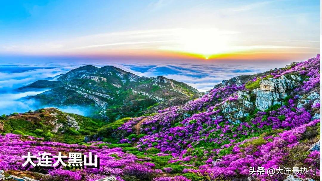 2020年大连市几个区的排名,大连市2023年旅游数据