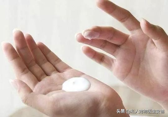 我们经常使用的护肤品，对猫咪有害吗？