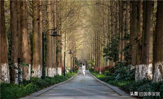 香格里拉售楼部电话,杭州新湖香格里拉平面图