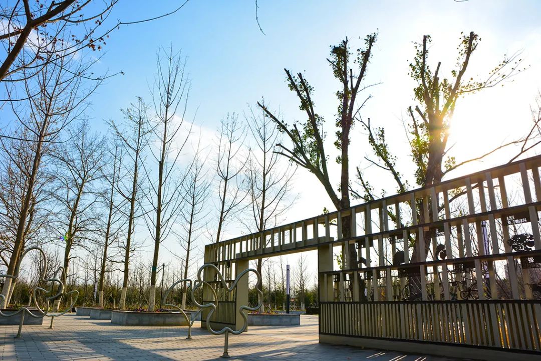 春意盎然北京五大公园,北京区级综合性公园