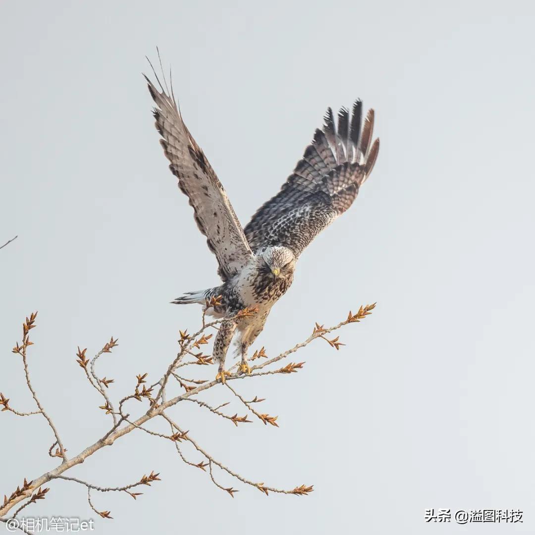 一支用过就会爱不释手的牙膏,硬核一刷即白的牙膏