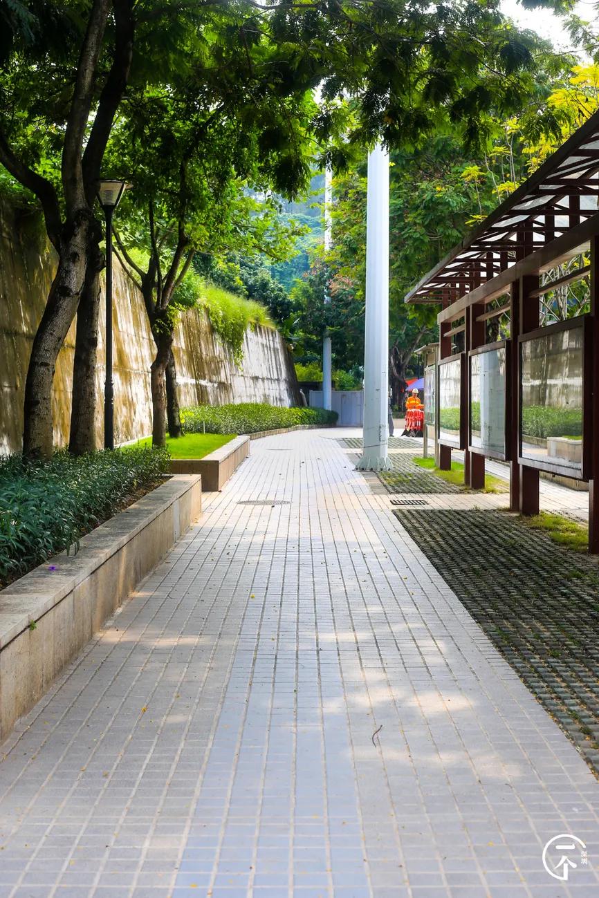 遍地华为男，深圳坂田有多绝？