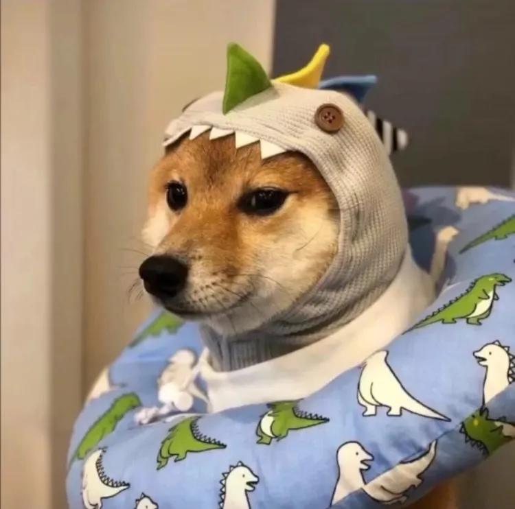 今年最火的抖音头像,抖音最火头像最新