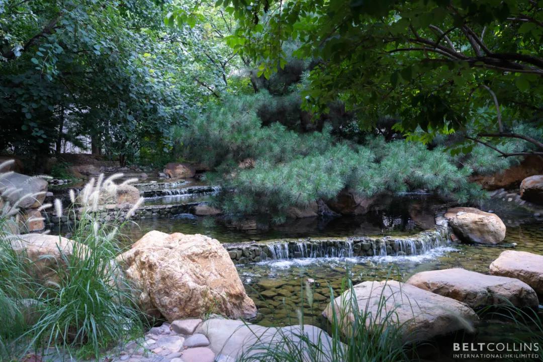 唐山唐城壹零壹洋房,年轮花园店