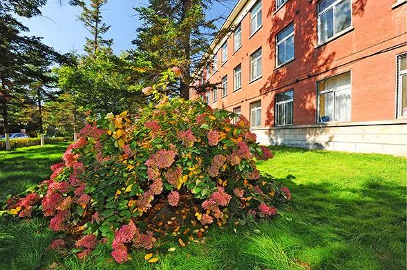 吉林省医药学院医生招聘,2023年吉林市康复治疗师招聘