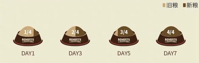 铲屎官该如何选择狗狗的狗粮,铲屎官要认真对待狗粮的存放问题