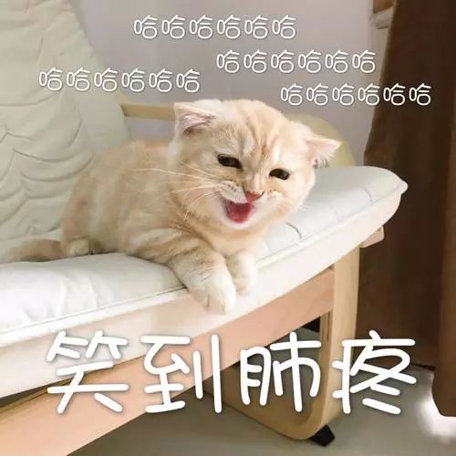 厦门直男没救了？我们邀请了5个帅哥猜化妆品，看完吐出两斤血...