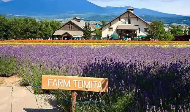 敬畏自然、超前思维、死磕单品，变态的日本农业留给我们的思考！