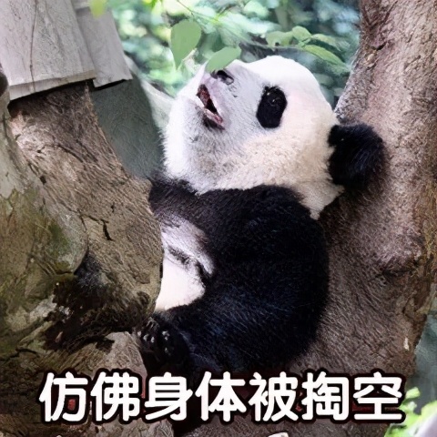 究竟怎样才能早起不困啊,怎么才能早起不困啊