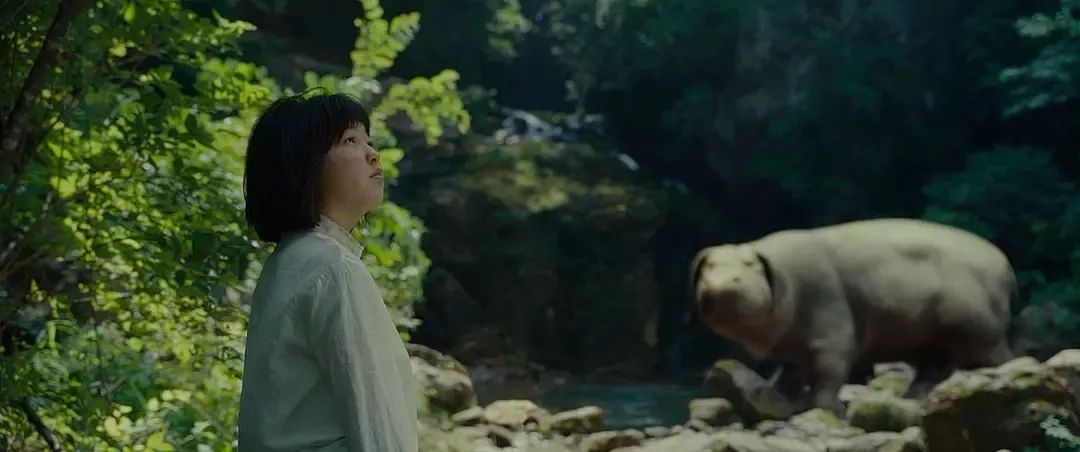 高口碑商业片电影,娱乐性连续剧