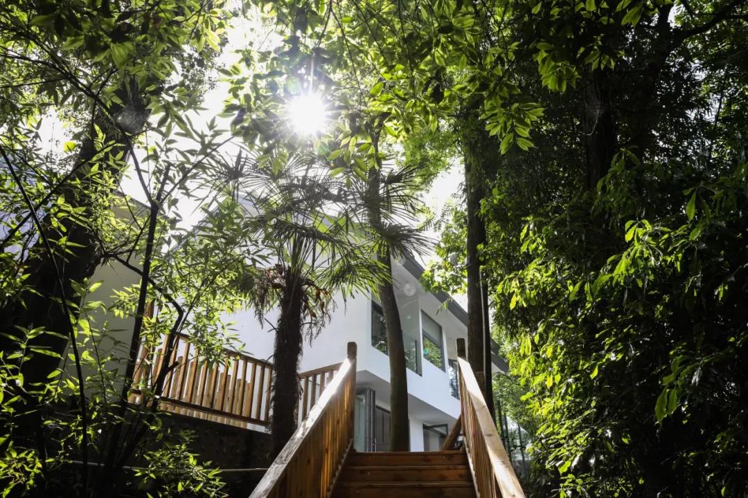 青城山别有洞天山居民宿,青城山肆禧山外民宿海拔