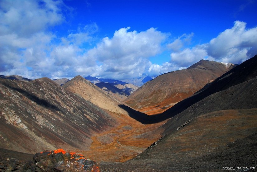 狼c调简谱教唱,狼c