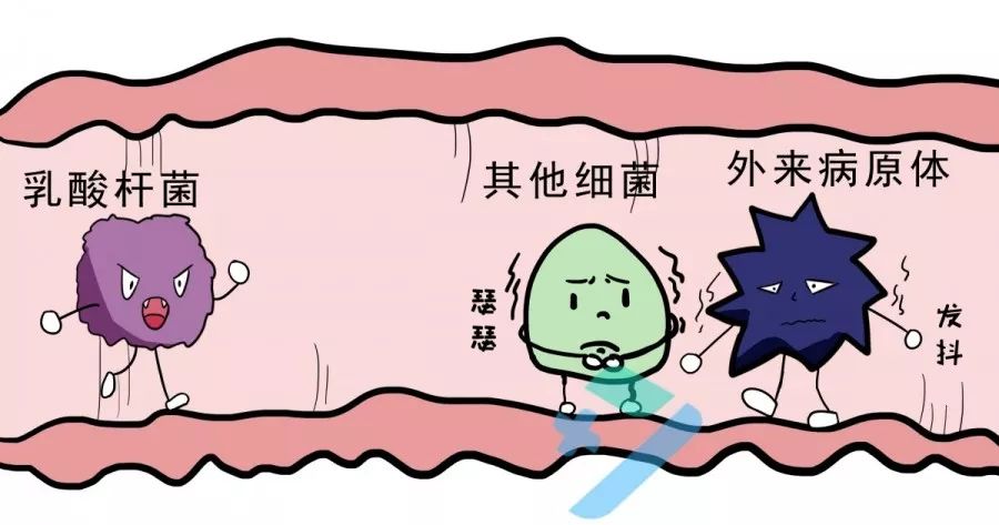 夫妻检查都正常为啥怀不上孩子,夫妻双方正常为什么怀不上孩子