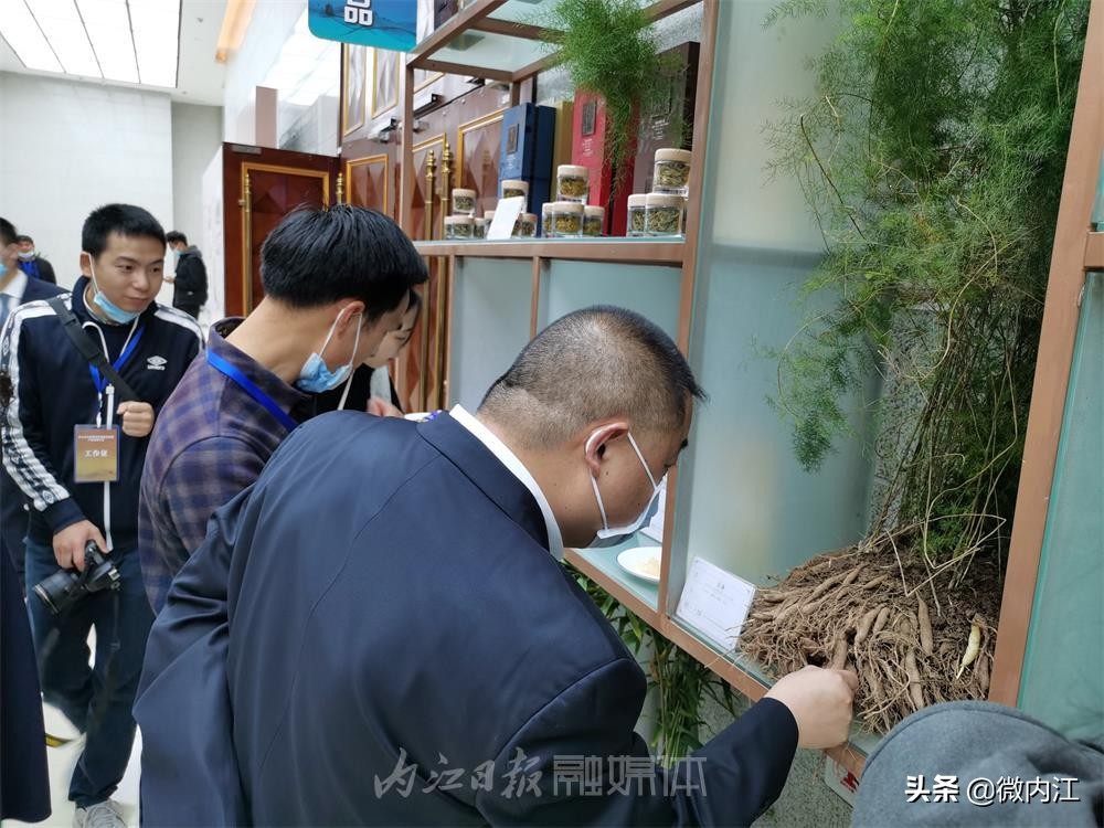 这个大会,让大家看到了内江中医药产业发展的春天