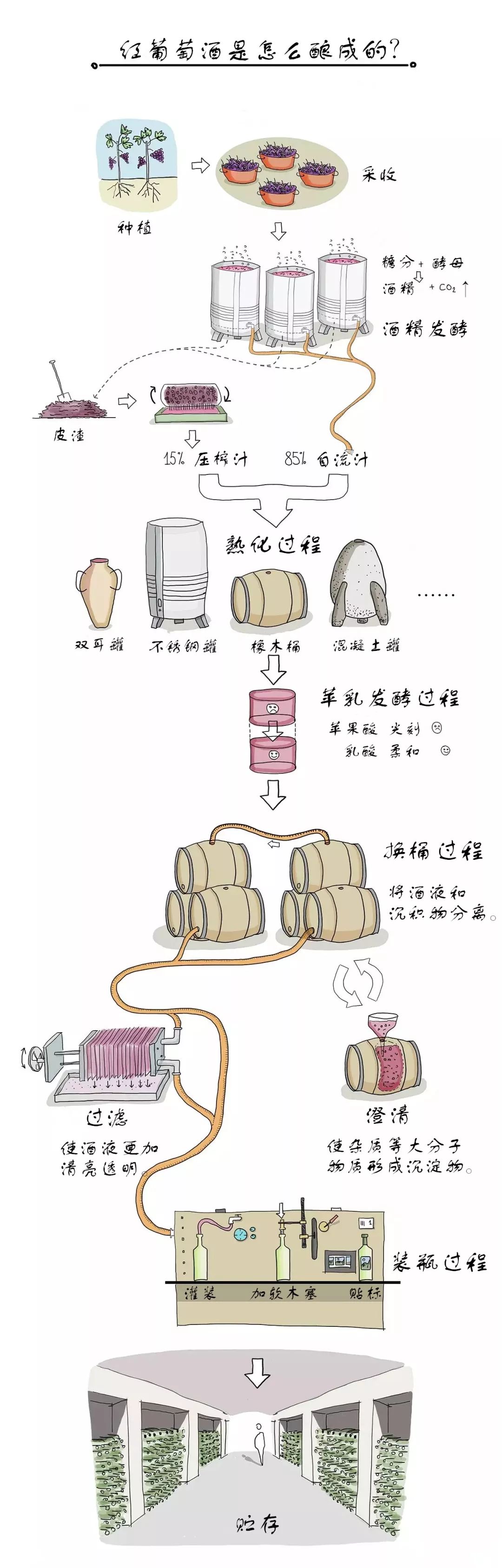 葡萄为什么吃起来很涩呢,为什么葡萄是苦的