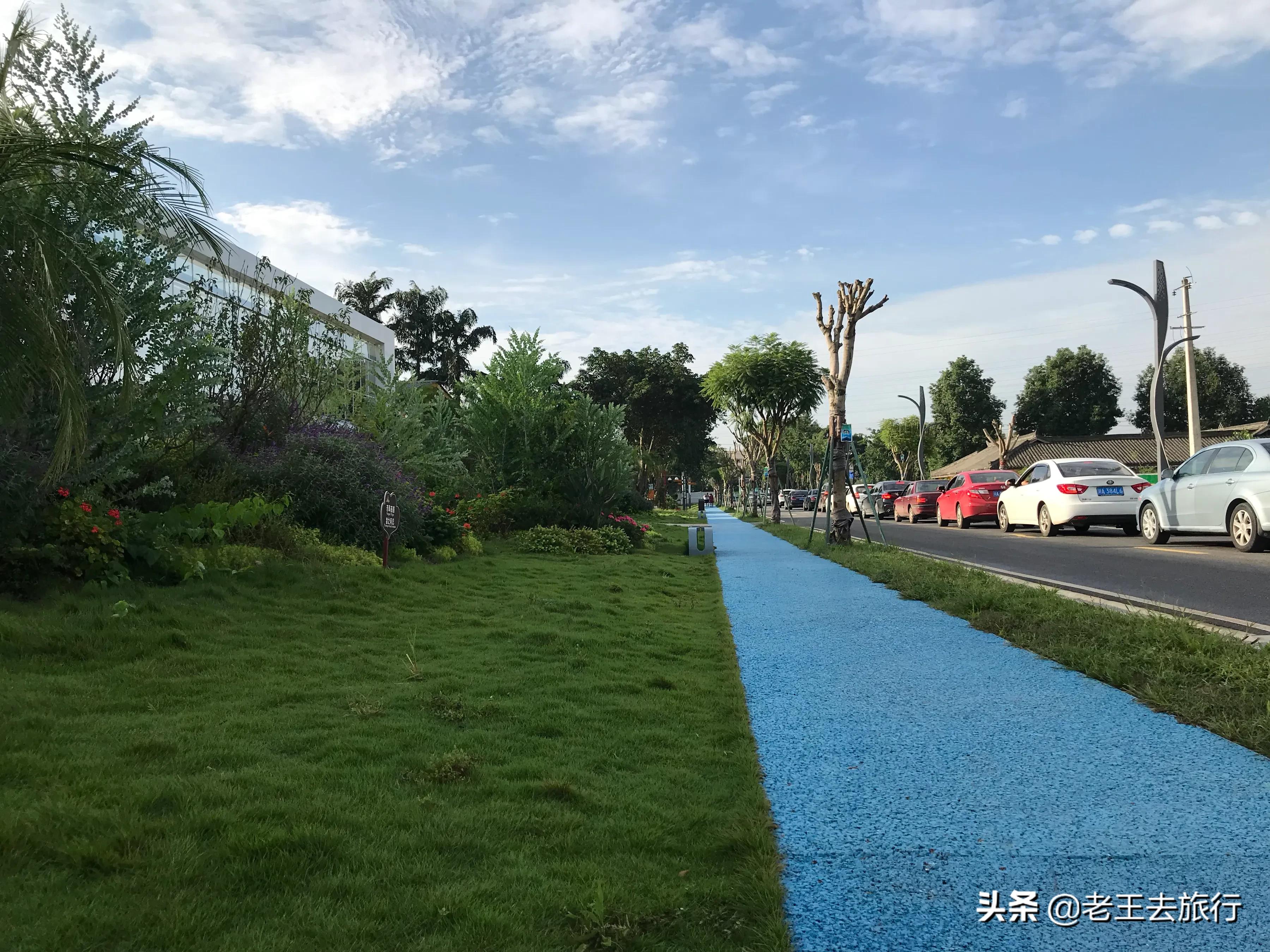 三圣乡花乡农居2024最新规划图,成都三圣乡花乡农居的最新视频