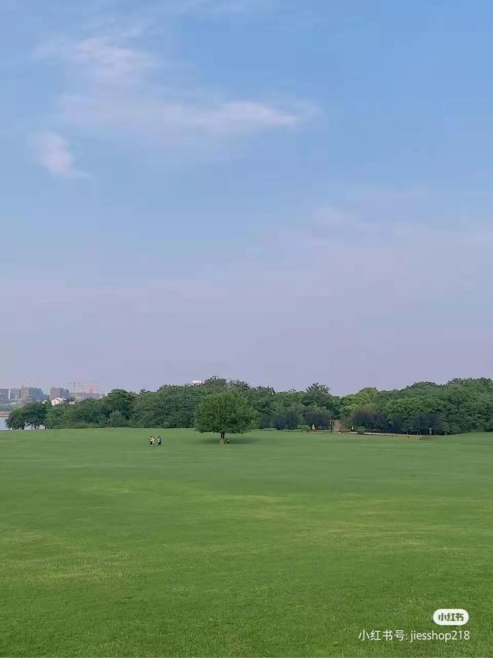 衢州为啥没有衢州鸭头,衢州鸭头不一样