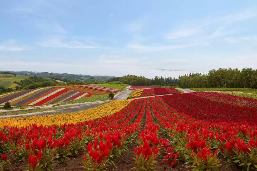 一价全包度假村,一价全包度假村酒店