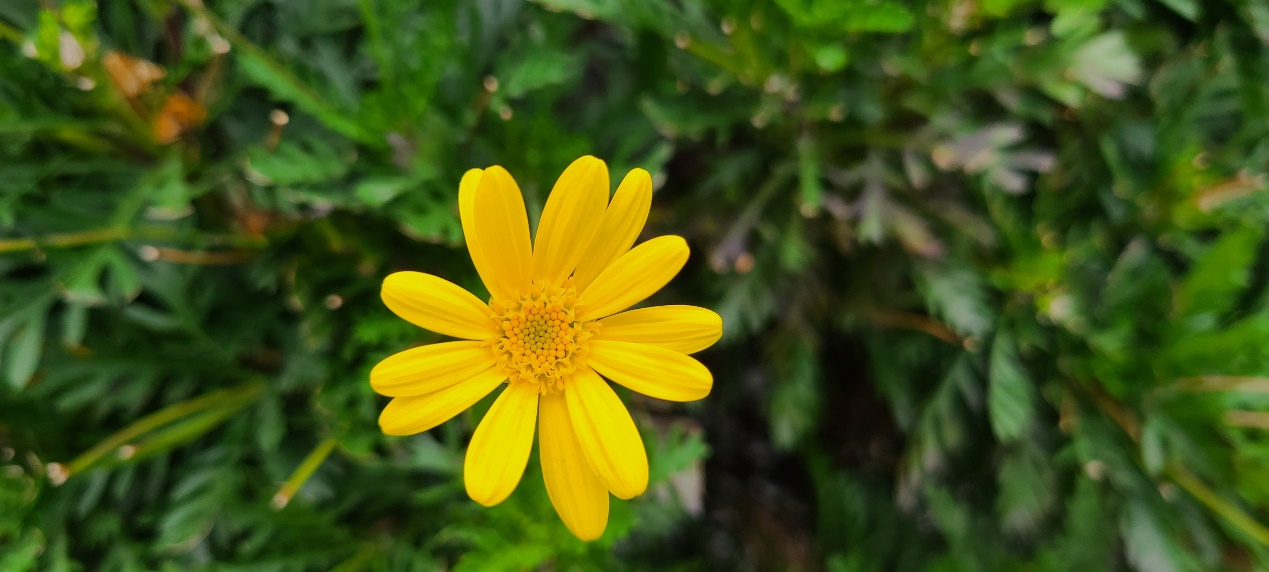 三星note9对比三星s20+测评,三星s20小杯换s24小杯