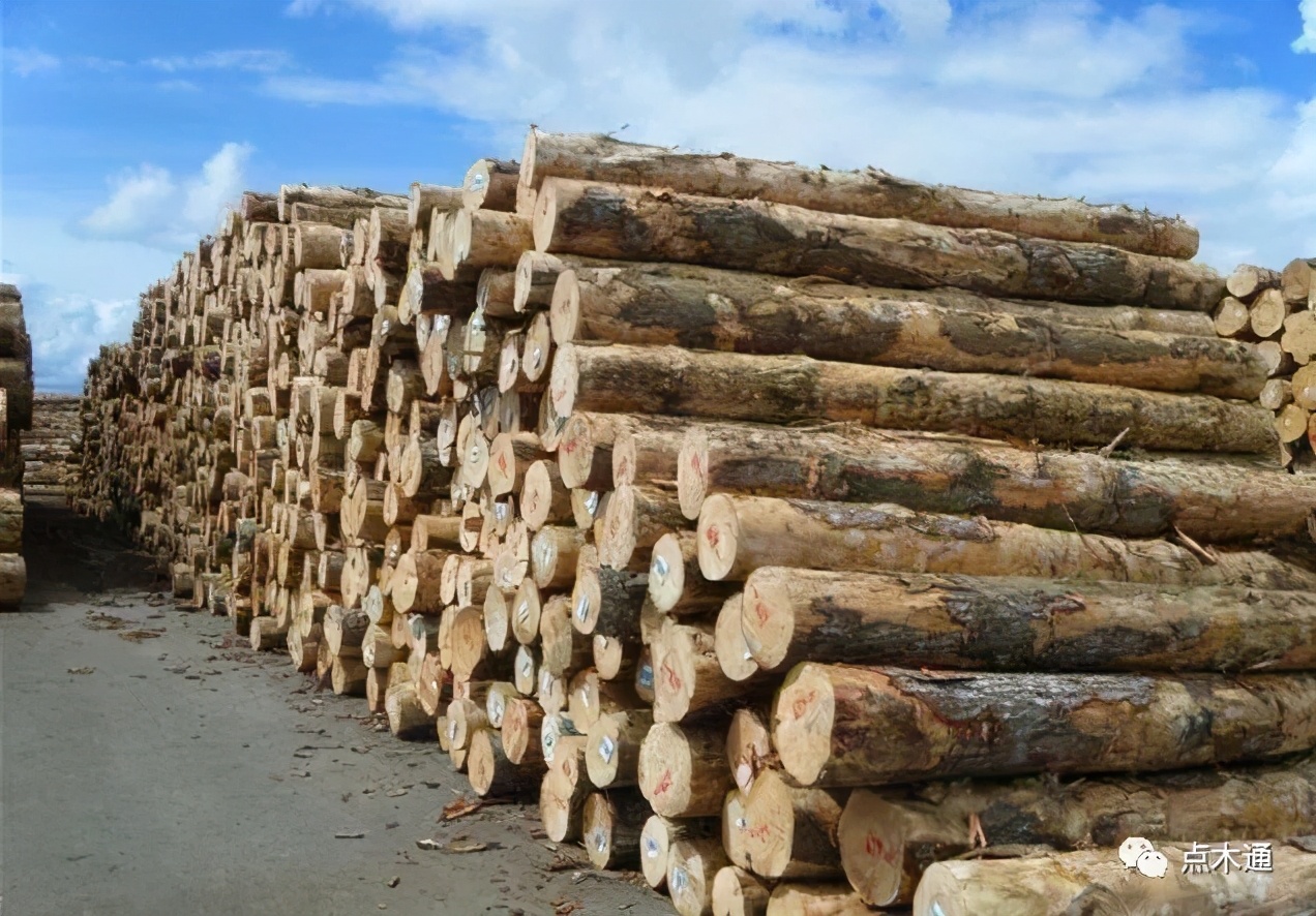 木材价格上涨会持续到什么时候,印尼菠萝格木材价格每立方