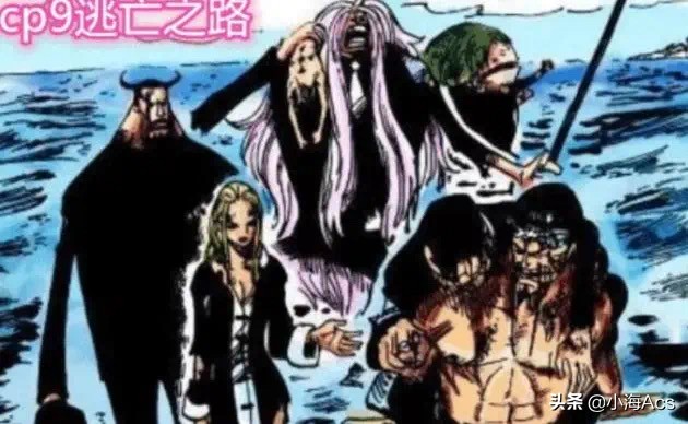 cp9路奇和cp0是同一个人吗,海贼王cp9成员