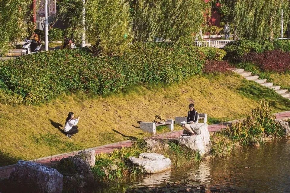 向往的生活1中的小院,精装版向往的生活