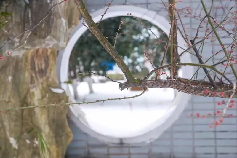 安庆高等医药职业学校,安庆医药高等专科学校2020年单招