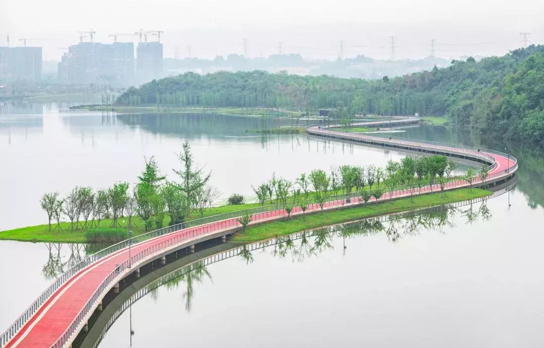 你才可爱你全家都可爱怎么回,你才可爱你全家都可爱出处