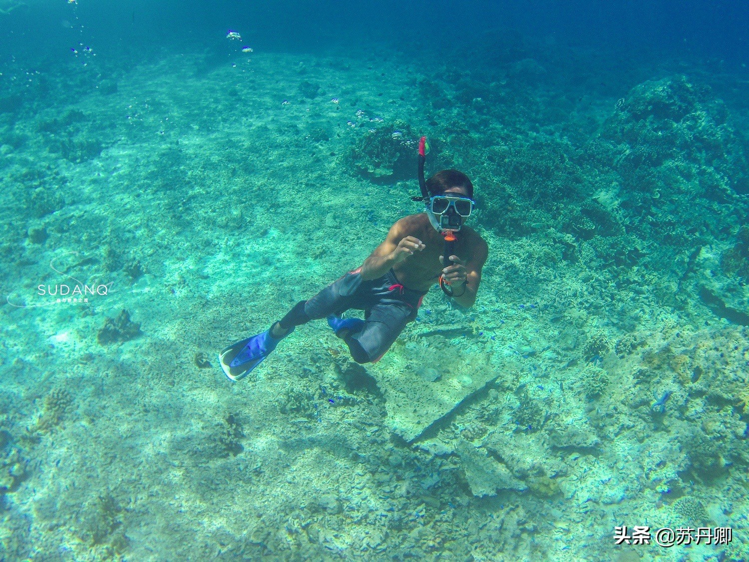 极限潜水死亡名单,潜水的死亡率高