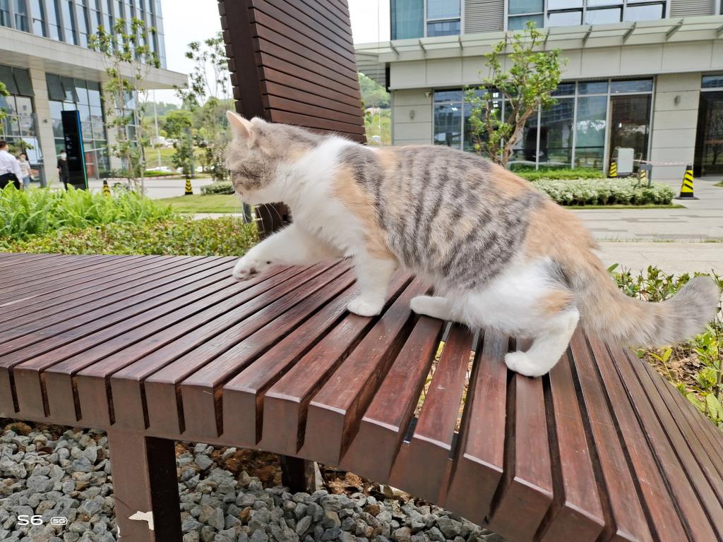 小扎测评|vivoS6：拍照时握在手里的小确幸