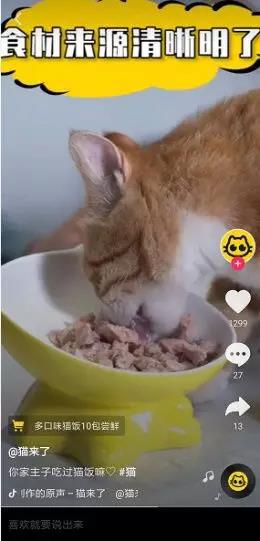 粉丝众测+口碑传播，“猫来了”如何为品牌赋能？