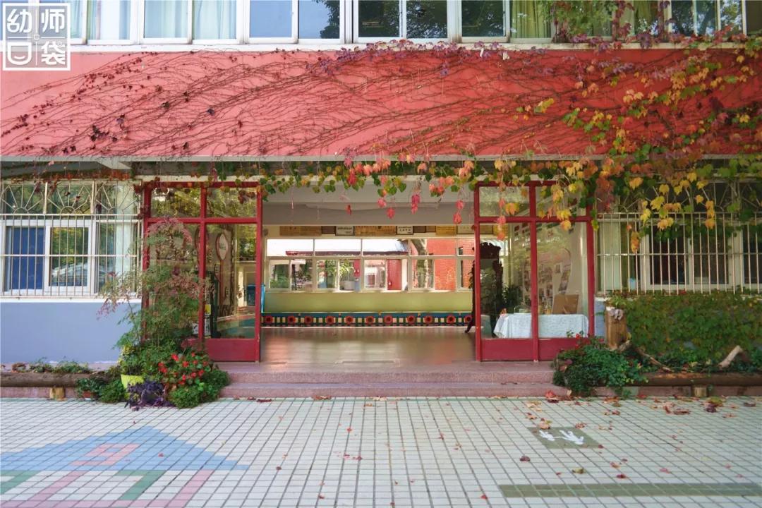 这里有最好的自然、最野的运动、最幸福的老师和孩子丨走进幼儿园