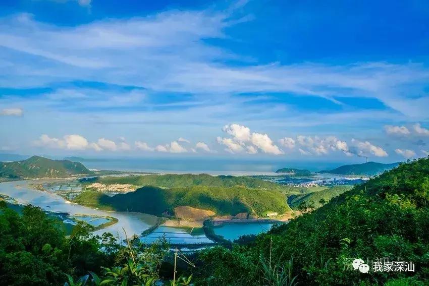深圳经济特区的生日,深圳经济特区生日快乐