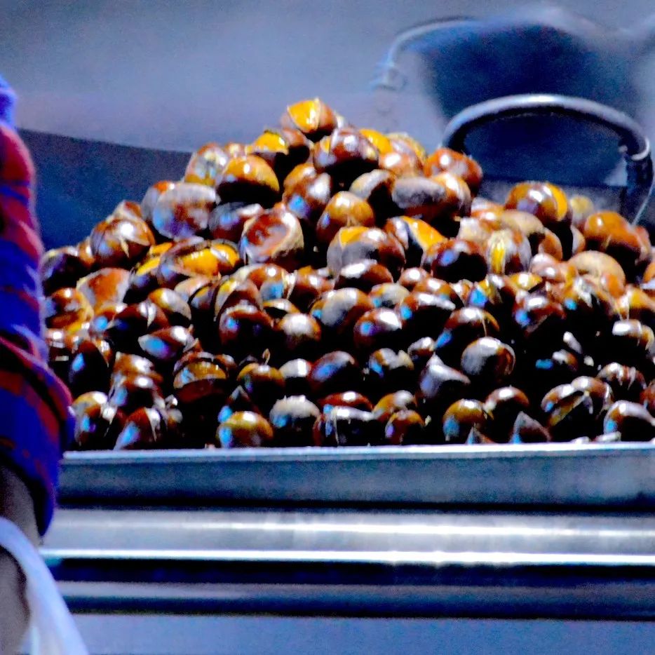 西乡好去处,深圳一个来了就不想走的地方