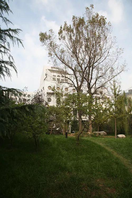 西安美院：中国九大美院之一，我国最早开办艺术专科的院校之一