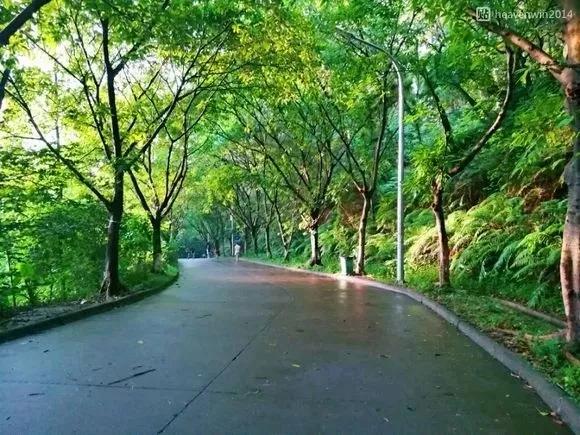 广东高考排名前三的专科学校,广东专科学校排名前十公办分数线