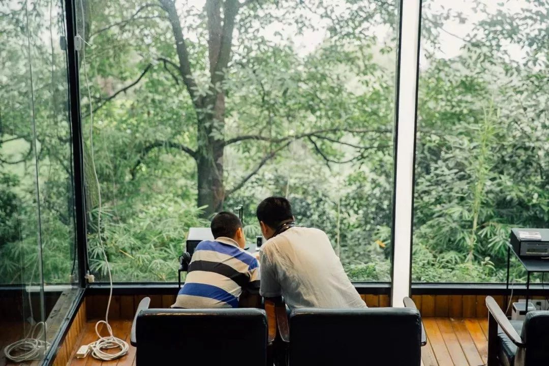 放弃城市40万年薪，夫妻躲进深山造出“最美书店”引600万人围观