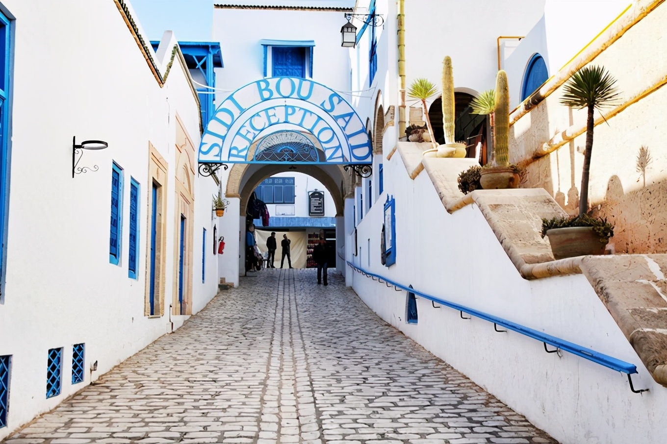 突尼斯｜一个微笑，一句“salam”，我为你动容（1）